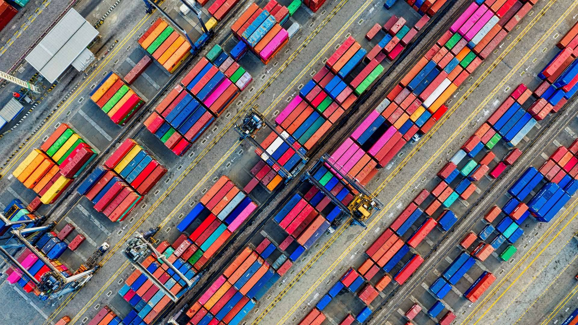 Trade policy and economic development