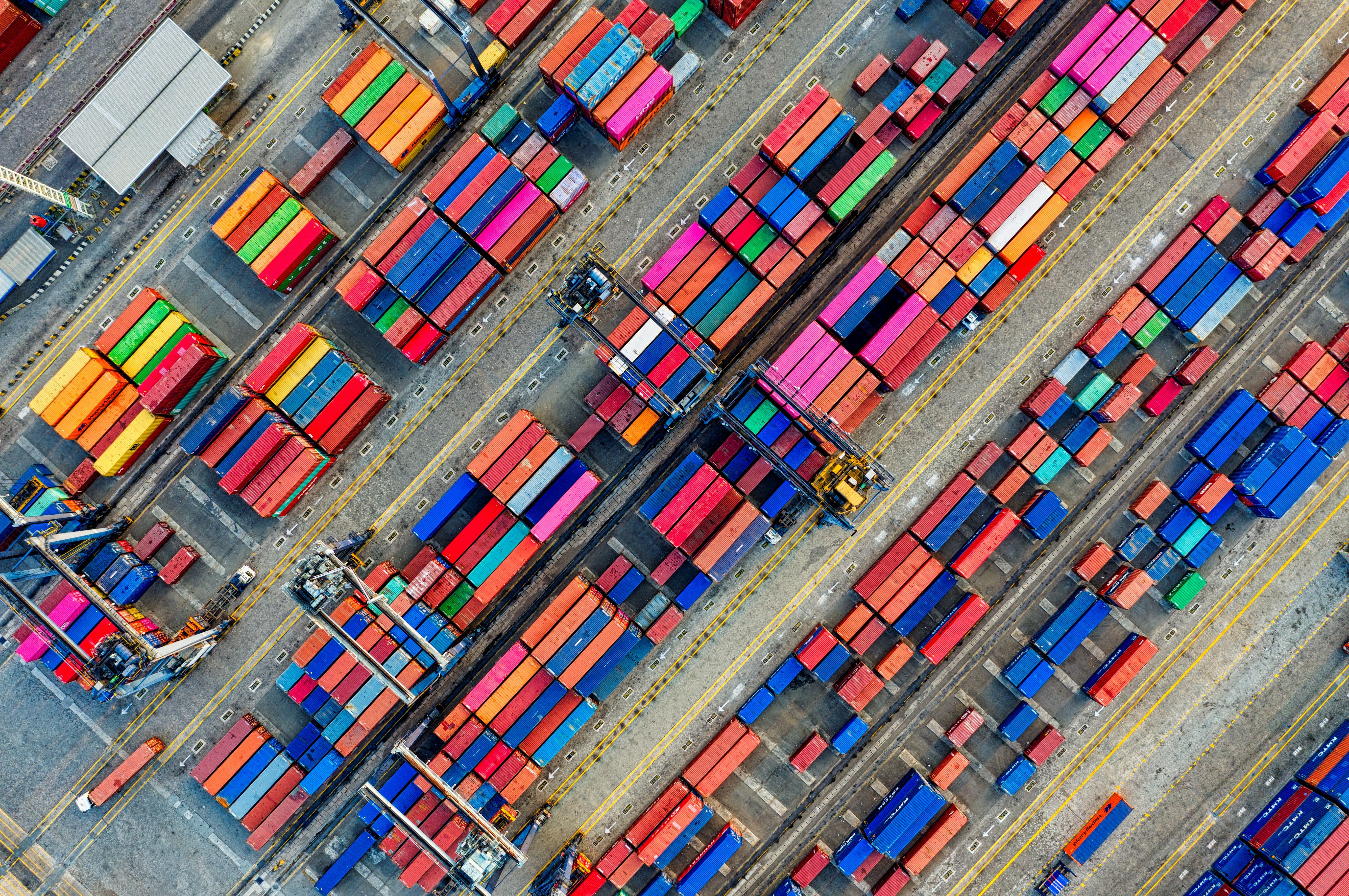 Trade policy and economic development